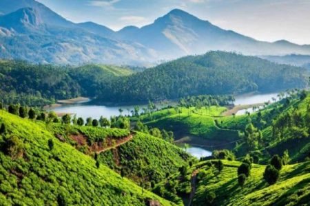 Kerala – Backwaters, Hills & Wildlife