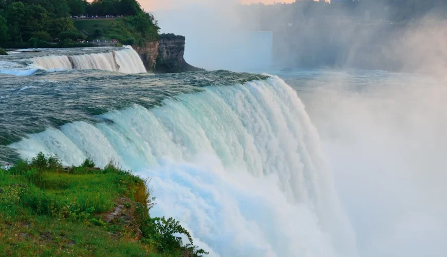 Travel and tour agency to plan New York trip