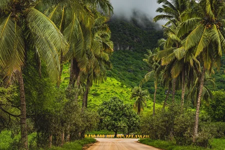 Hidden Attractions in Salalah Tour Packages by Top Tour Companies