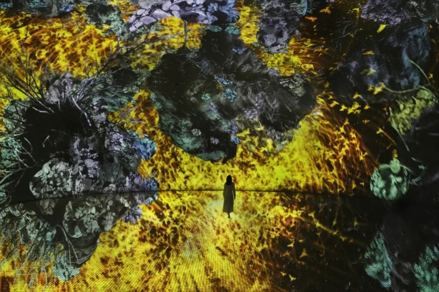 A visitor silhouetted against a golden, fiery digital landscape with dark, rocky textures and floating organic shapes, showcasing the scale of Team Lab Phenomena Abu Dhabi.