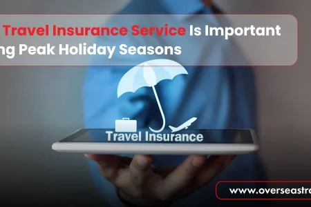 Why Travel Insurance Service Is Important During Peak Holiday Seasons