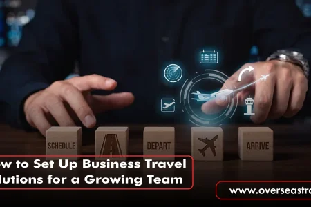 How to Set Up Business Travel Solutions for a Growing Team