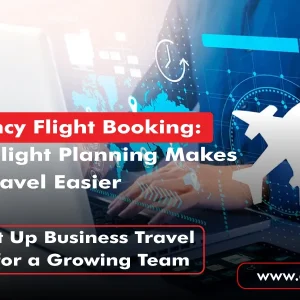 Professional travel agency flight booking, booking flights on a laptop for early flight planning and seasonal travel
