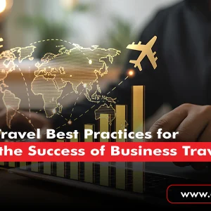 Corporate travel best practices for measuring business travel success with global flight routes and performance charts.